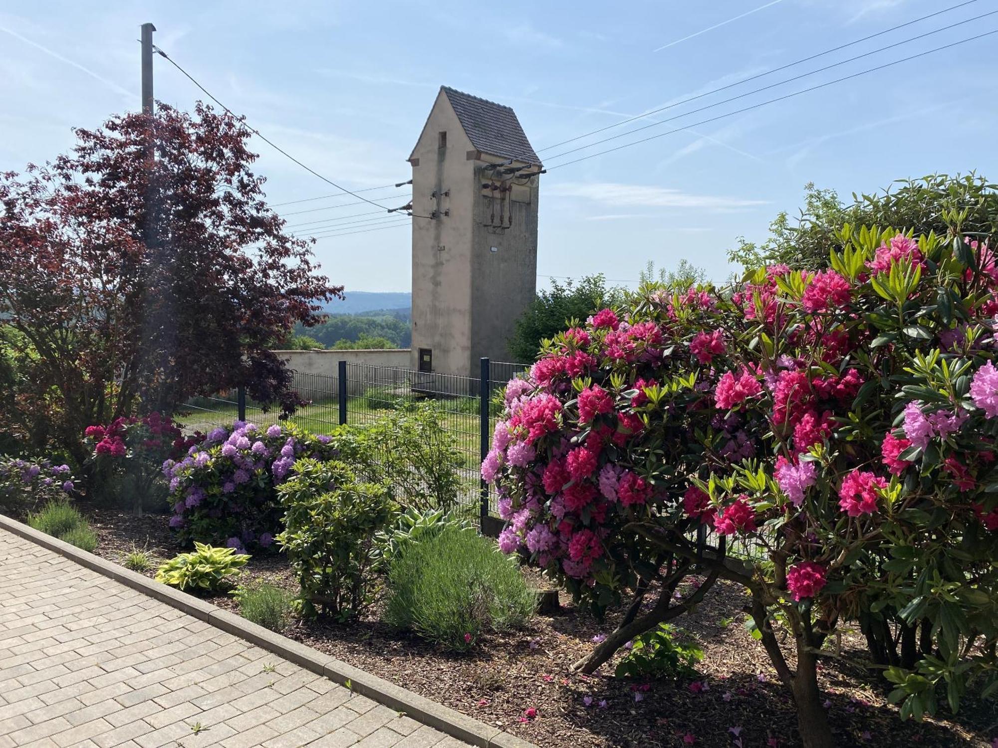 Villa Geisenhof Miltenberg Εξωτερικό φωτογραφία